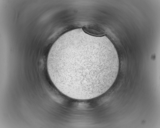 X0000089850165200707262115