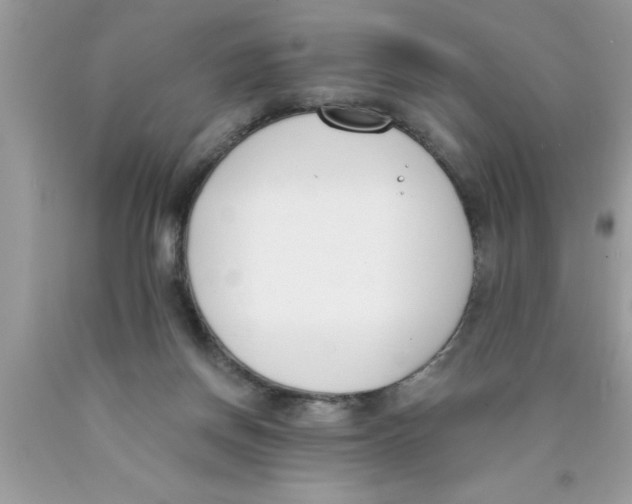 X0000089850166200707262115