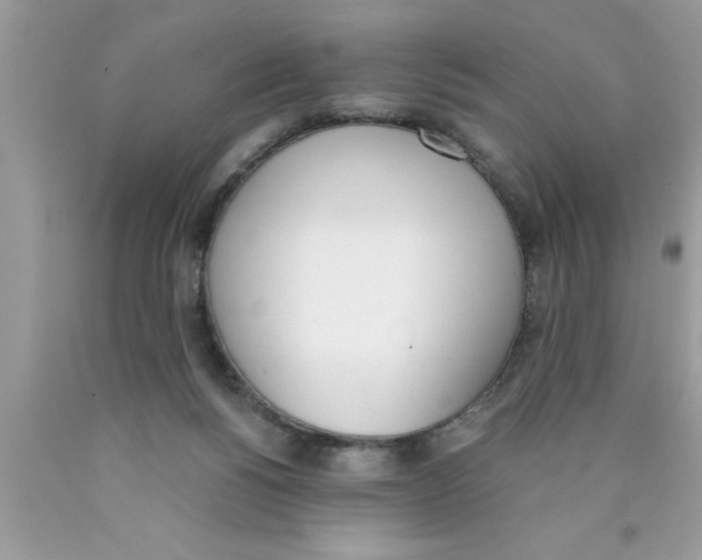 X0000089850168200707262115