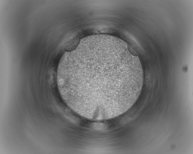 X0000089850169200707262115