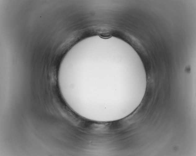 X0000089850170200707262115