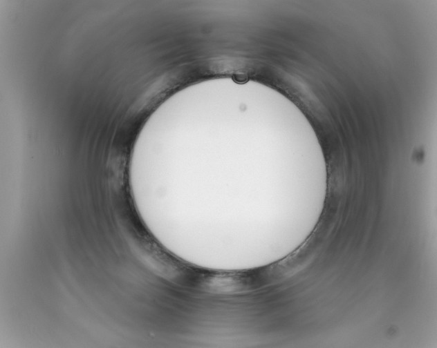 X0000089850171200707262115