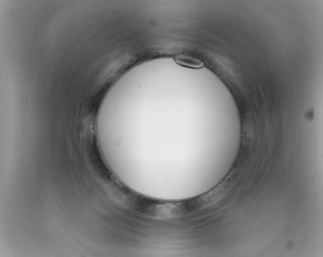 X0000089850172200707262115