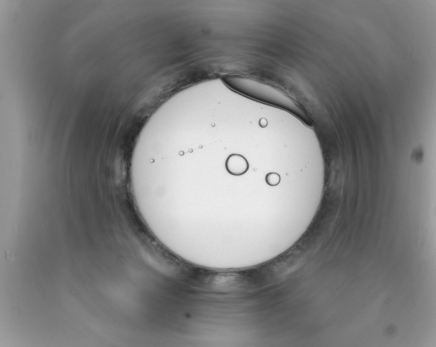 X0000089850173200707262115