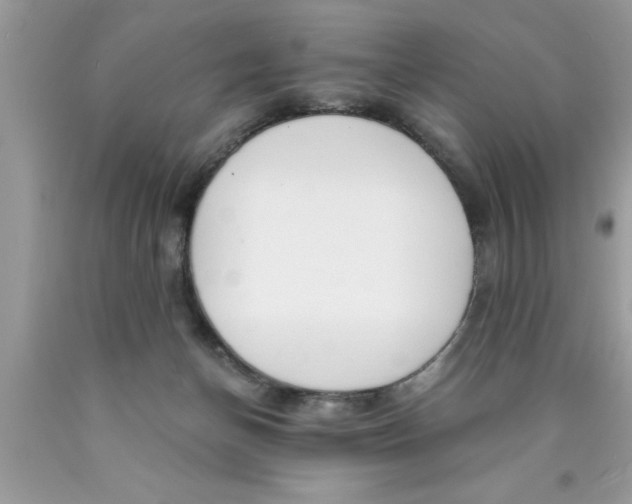 X0000089850174200707262115