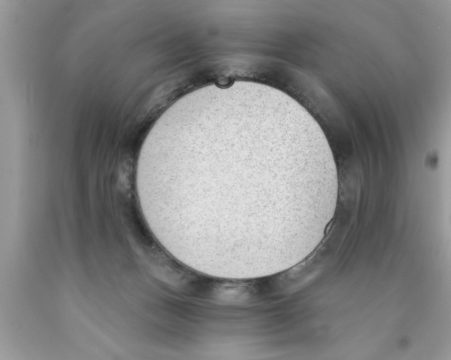 X0000089850175200707262115