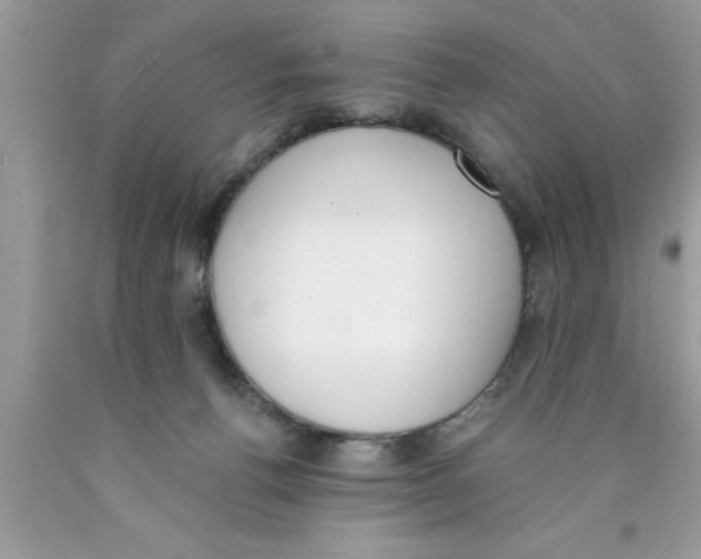 X0000089850176200707262115