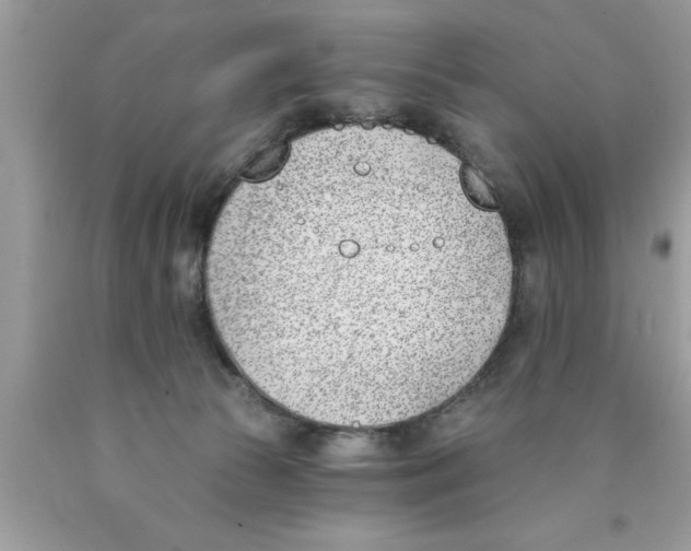 X0000089850177200707262115