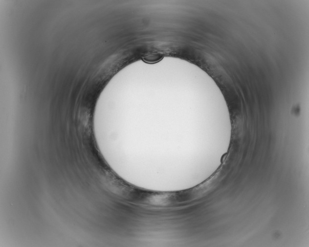 X0000089850178200707262115