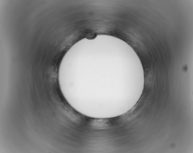 X0000089850179200707262115