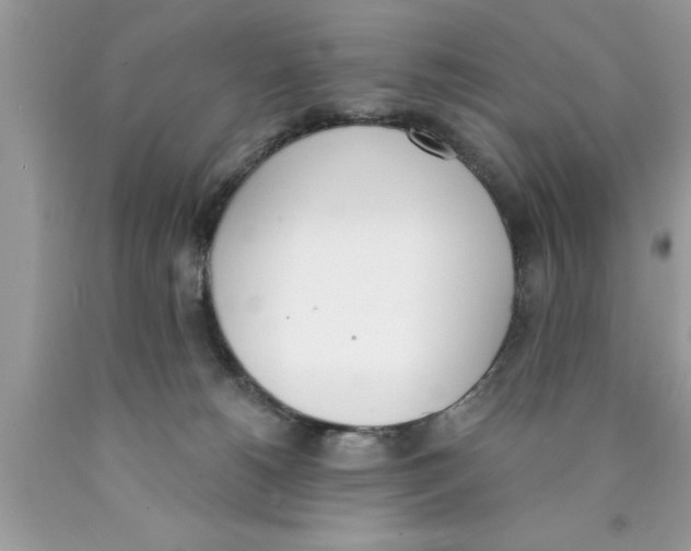 X0000089850180200707262115