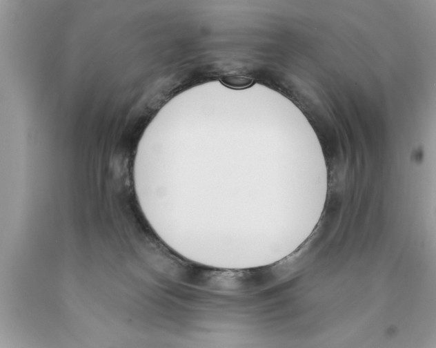 X0000089850182200707262115