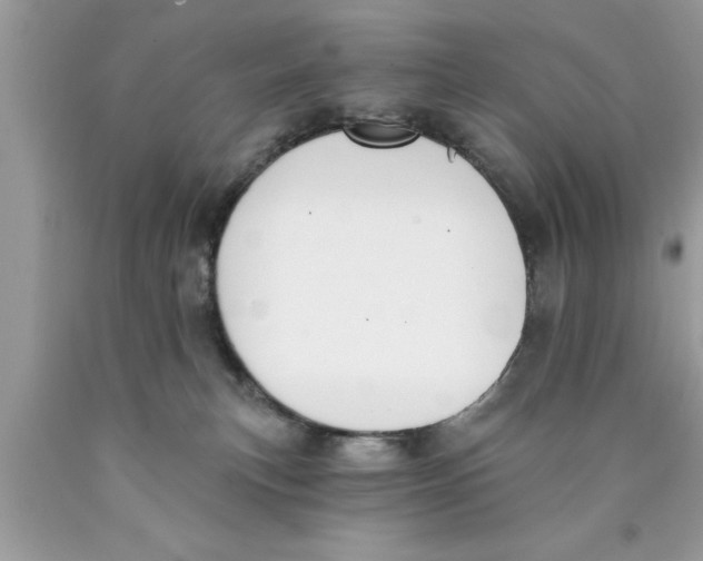 X0000089850183200707262115