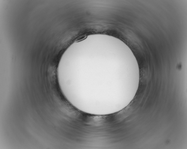 X0000089850184200707262115