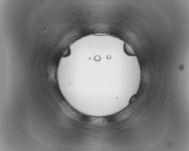 X0000089850185200707262115