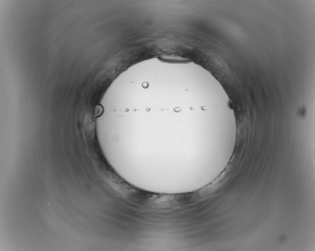 X0000089850186200707262115