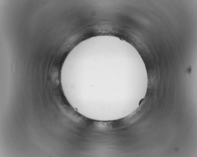 X0000089850187200707262115