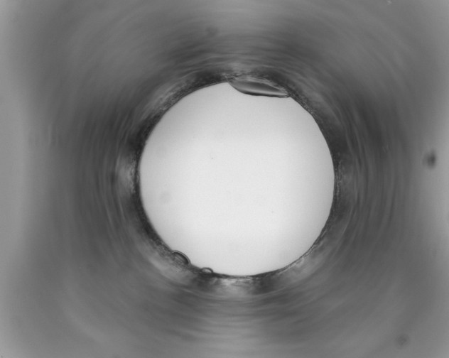 X0000089850188200707262115