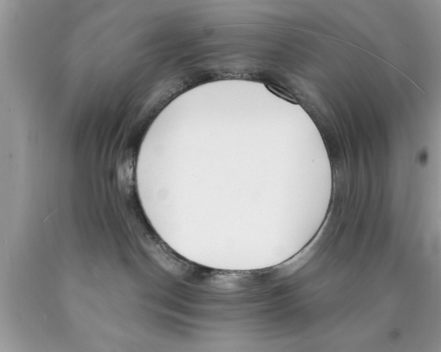 X0000089850190200707262115