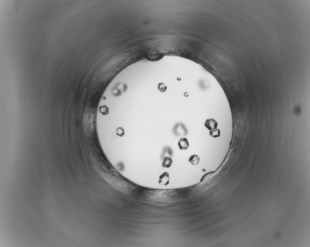 X0000089850191200707262115