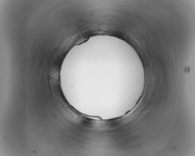 X0000089850192200707262115