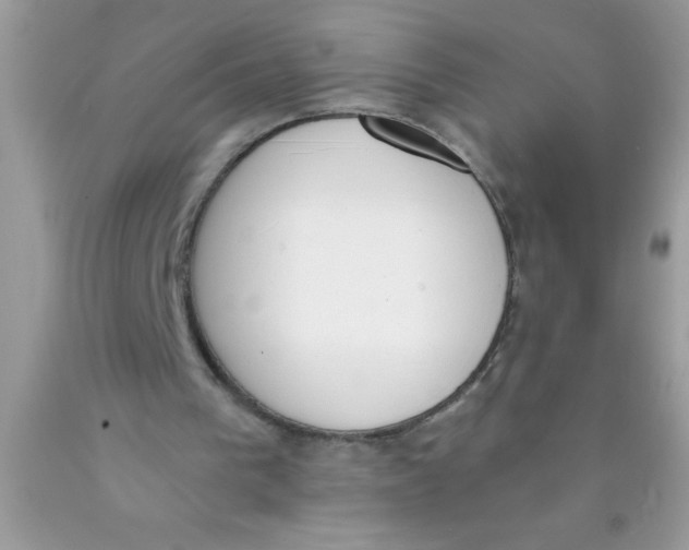 X0000089850193200707262114