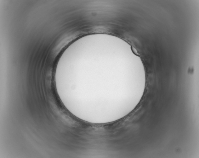 X0000089850194200707262114