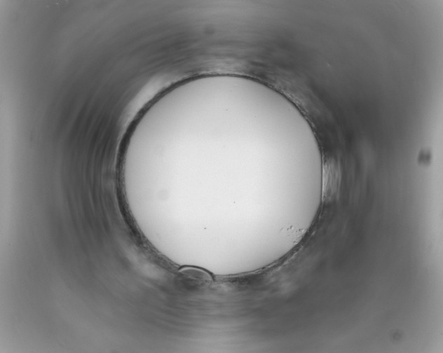 X0000089850195200707262114