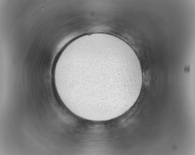 X0000089850196200707262114