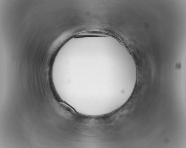 X0000089850197200707262114