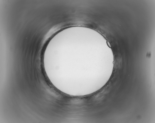 X0000089850198200707262114