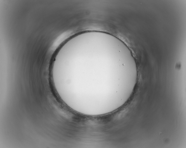 X0000089850199200707262114