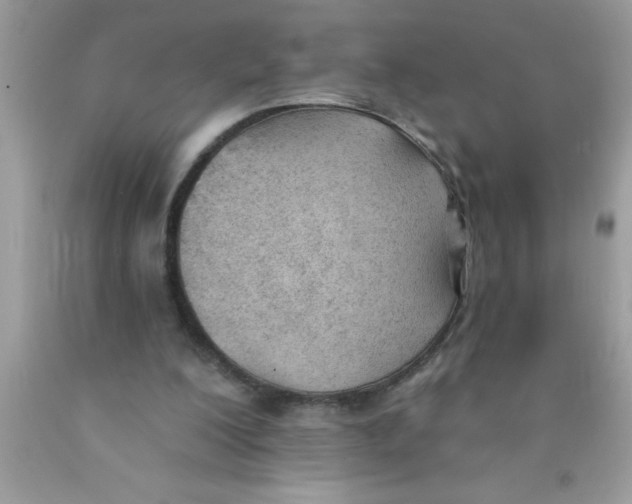 X0000089850200200707262114