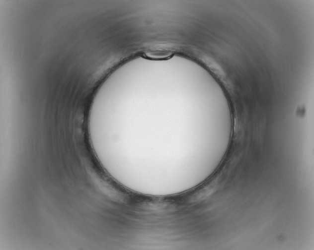 X0000089850201200707262114