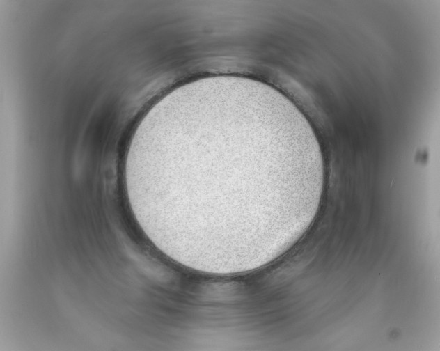 X0000089850202200707262114