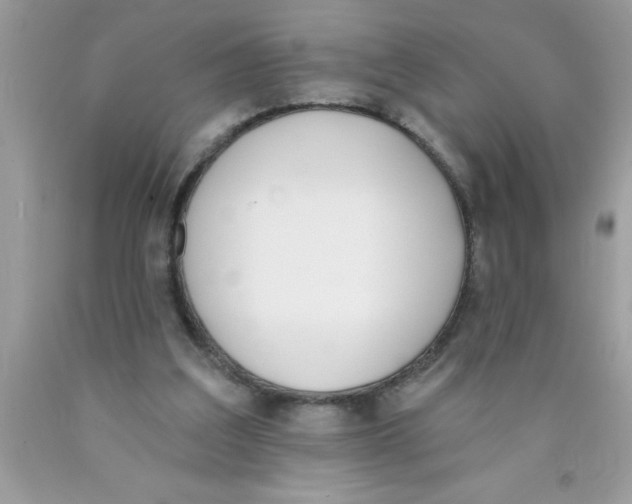 X0000089850203200707262114