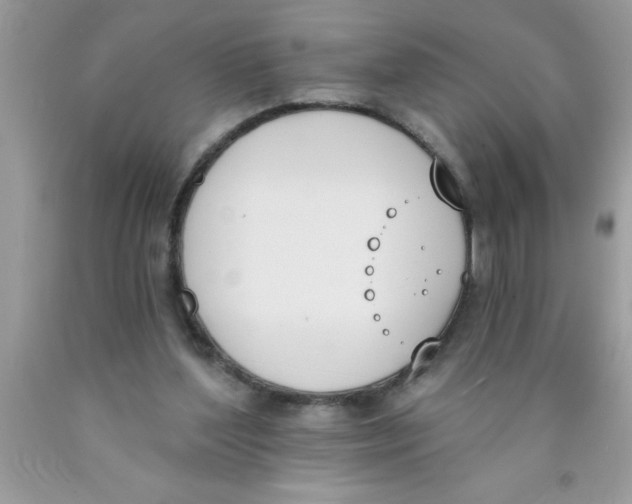 X0000089850204200707262114