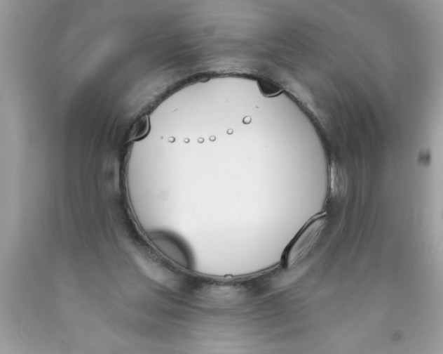 X0000089850205200707262114