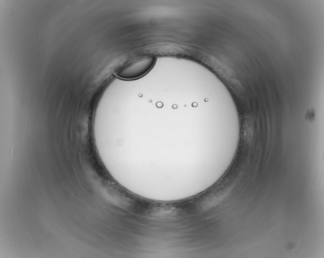 X0000089850206200707262114