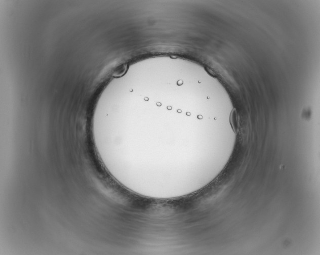 X0000089850207200707262114