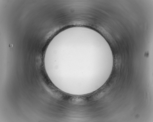 X0000089850208200707262114