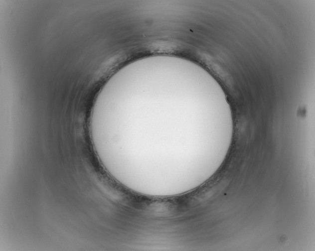 X0000089850209200707262114