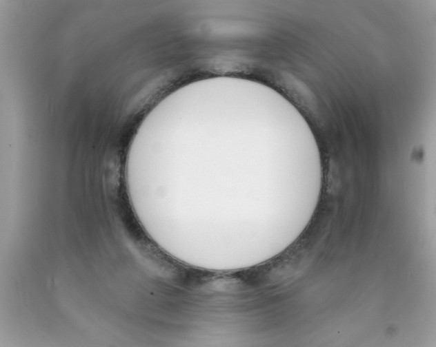 X0000089850210200707262114