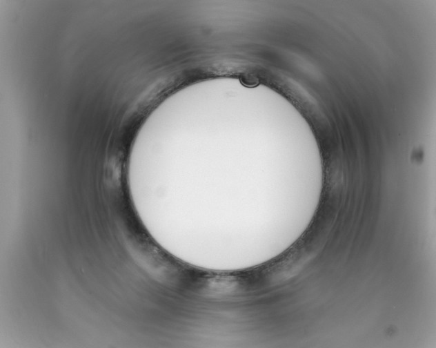 X0000089850214200707262114