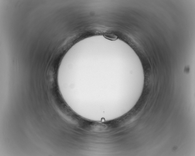 X0000089850215200707262114