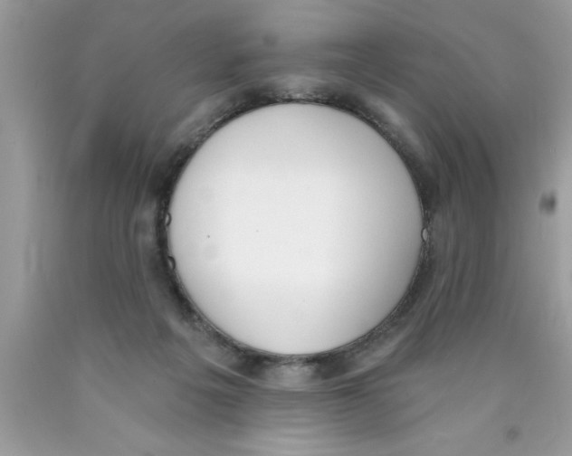 X0000089850217200707262114