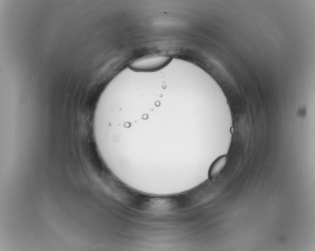 X0000089850218200707262114