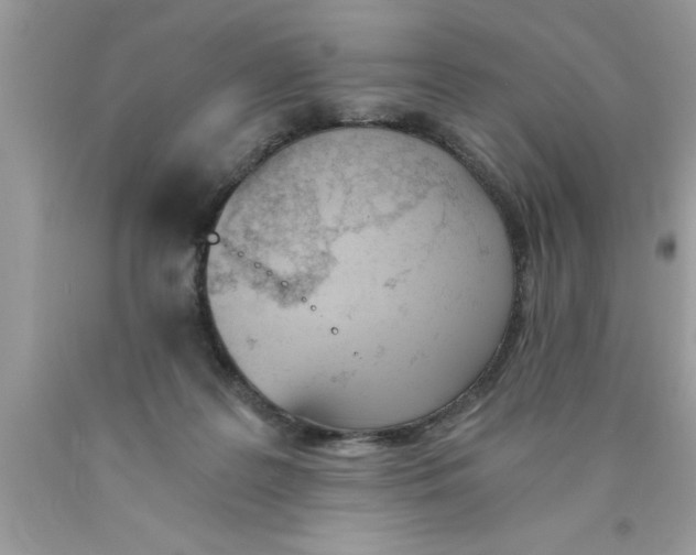 X0000089850219200707262114