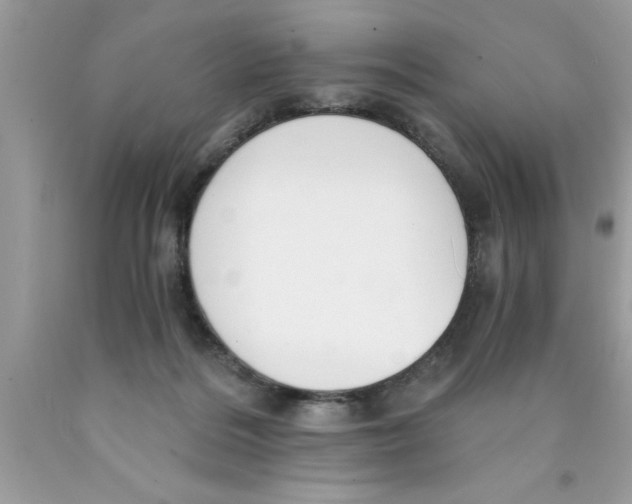 X0000089850220200707262114