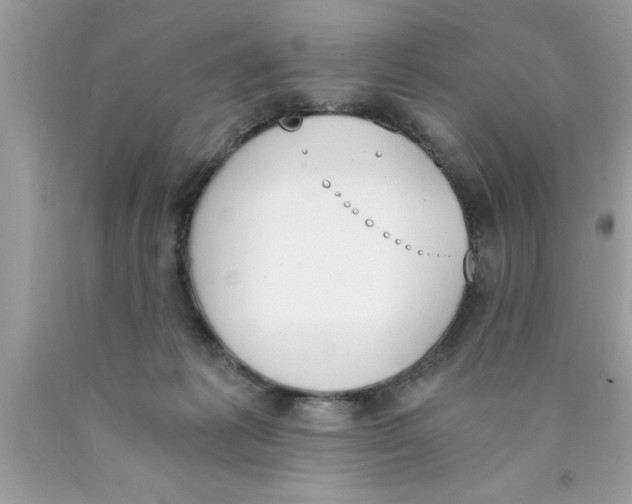 X0000089850221200707262114